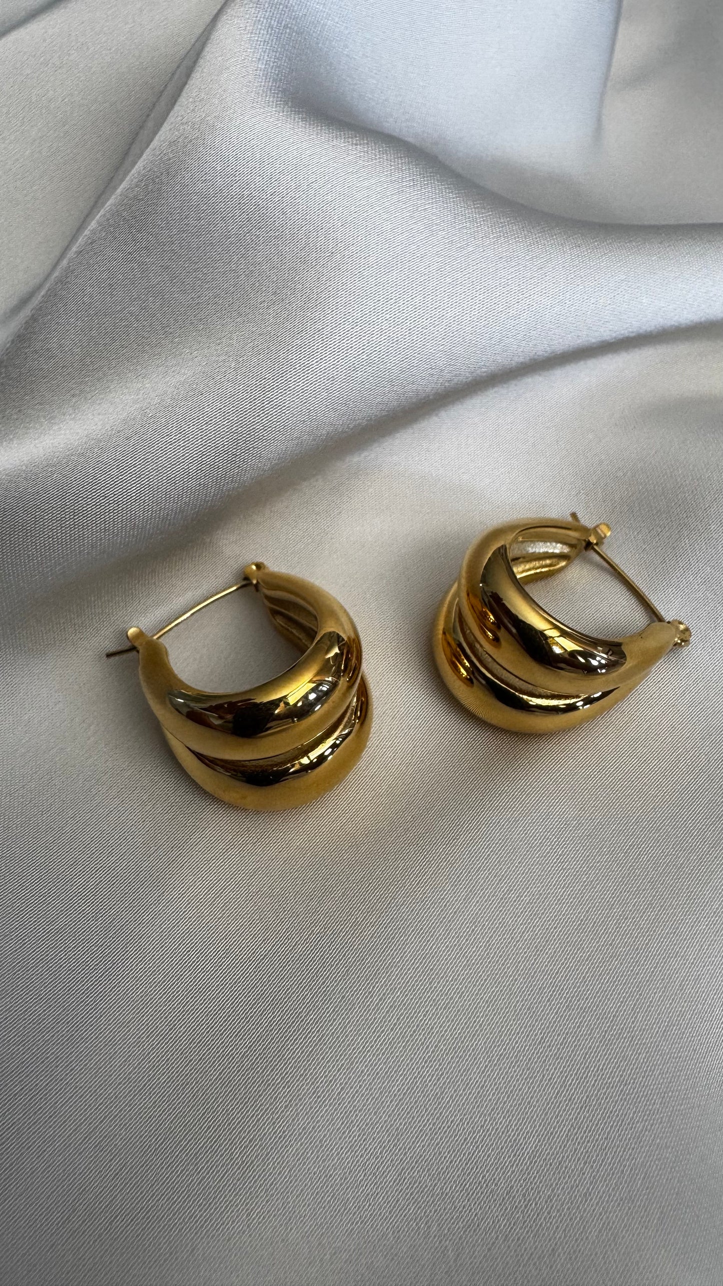 Gorgeous Earrings
